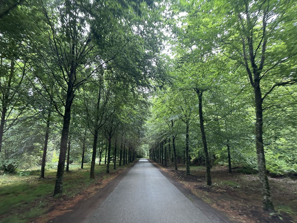 Oldtimerrit Geesteren 25 mei 2025 - 201